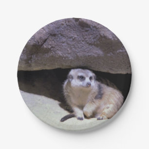 Meerkat Photo Paper Plate
