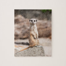 Meerkat Photo Puzzle