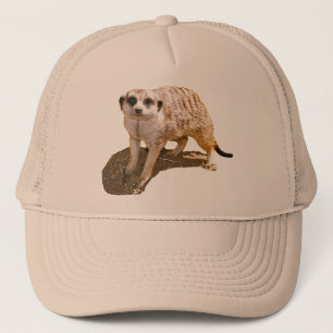 Meerkat Picture Trucker Hat