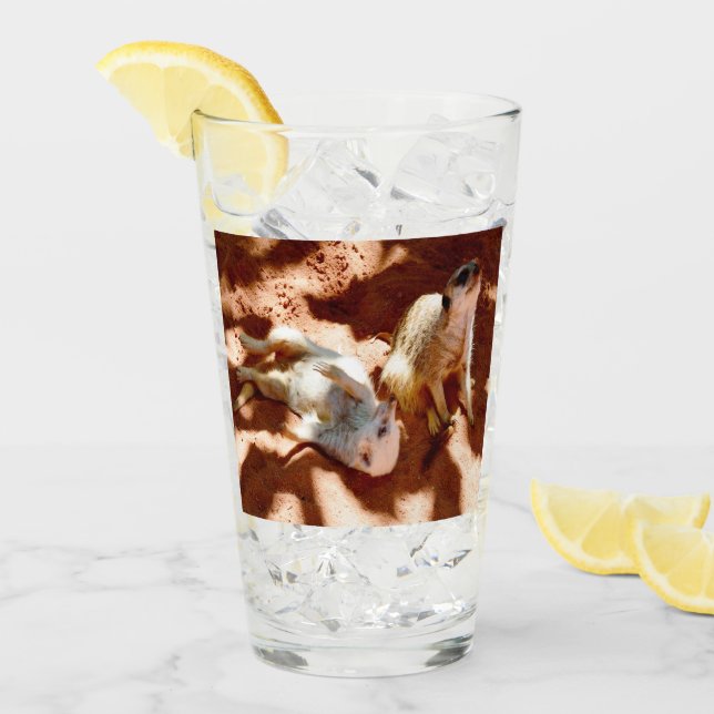 Meerkat Play Day,   Glass (Front Ice)