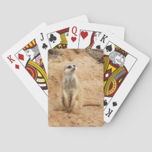 Meerkat Playing Cards
