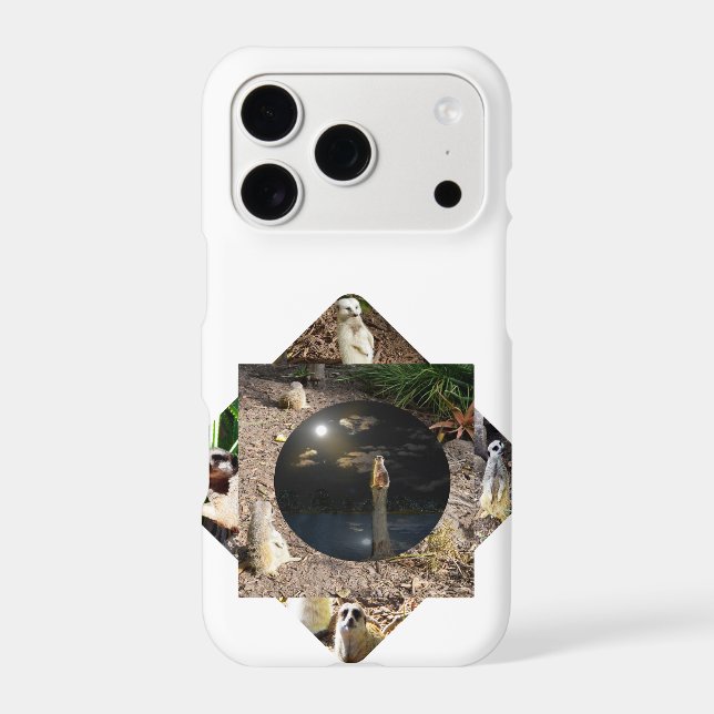 Meerkat Polyscope,  (Back)