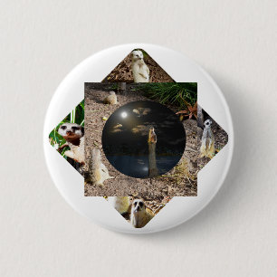 Meerkat Polyscope, 2 Inch Round Button