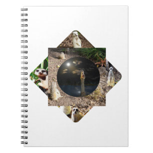 Meerkat Polyscope,  Notebook