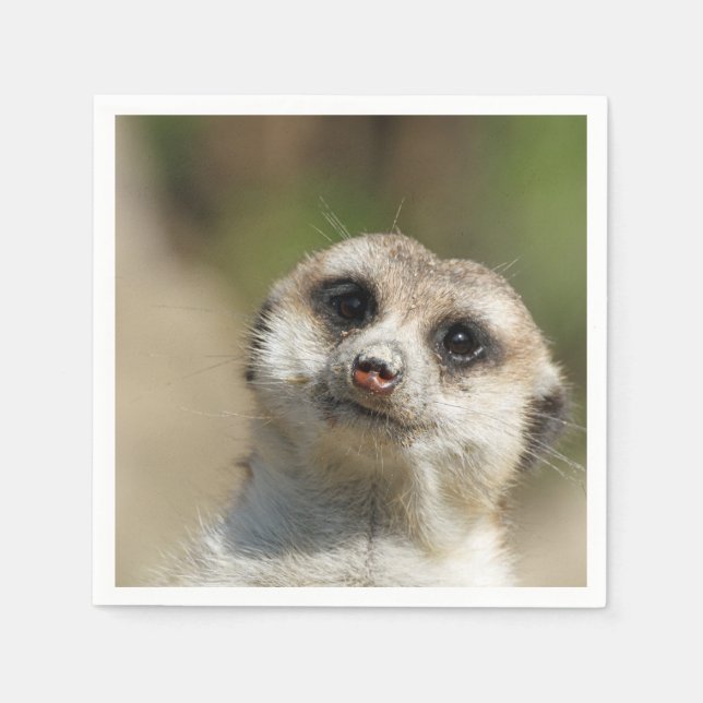 Meerkat-Portrait 003 Napkin (Front)