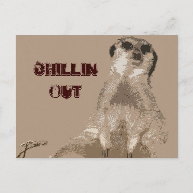 meerkat postcard (Front)