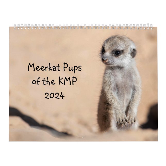 Meerkat Pups of the KMP 2024 Calendar (Cover)