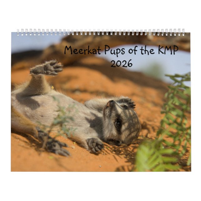 Meerkat Pups of the KMP 2026 Calendar (Cover)