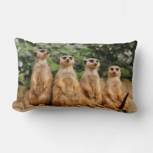 Meerkat-Quartett 001 Lumbar Pillow