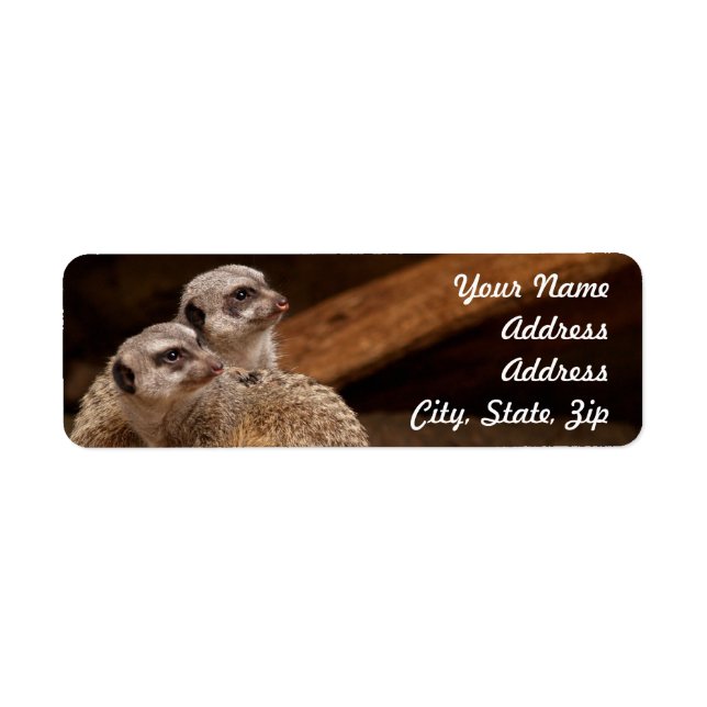 Meerkat Return Address Sticker (Front)
