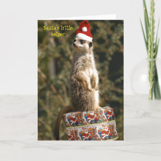 Meerkat, Santa's little helper Card