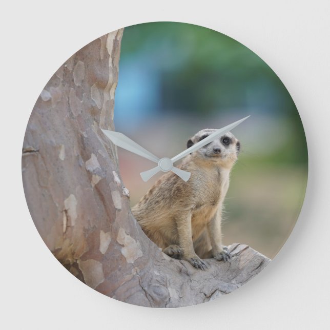 Meerkat Sat on Tree Large Clock (Front)