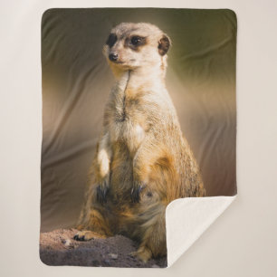 MEERKAT SHERPA BLANKET