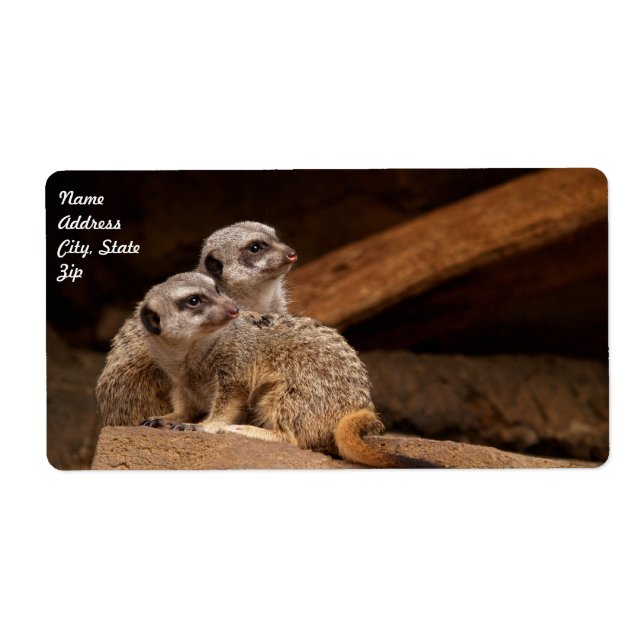 Meerkat Shipping Label (Front)