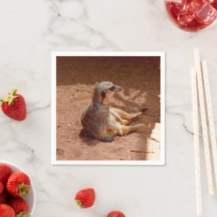 Meerkat Sitting Photography, Paper Napkins