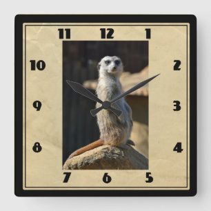 Meerkat Square Clock