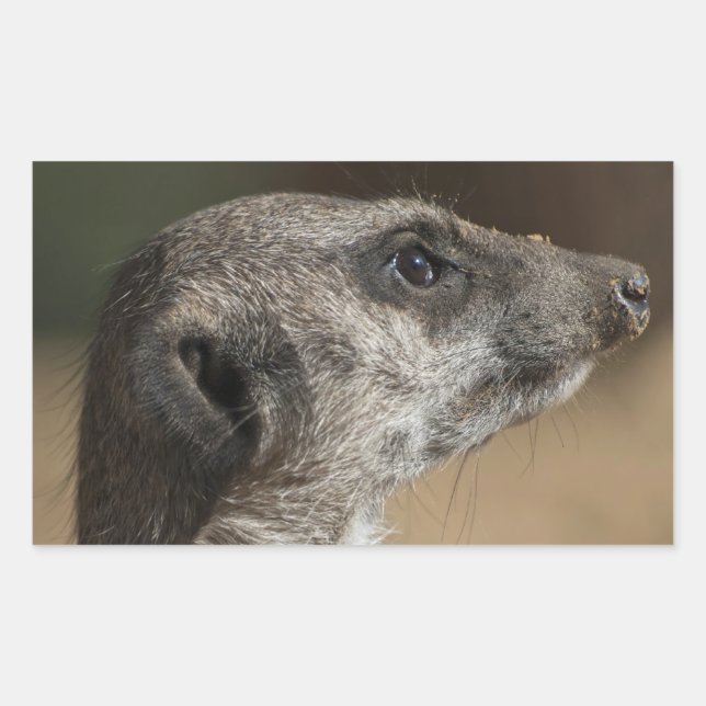 Meerkat Sticker (Front)