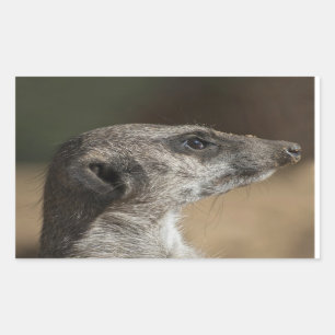Meerkat Sticker