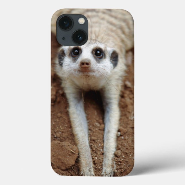 Meerkat (Suricata Suricatta) Cooling Down Case-Mate iPhone Case (Back)