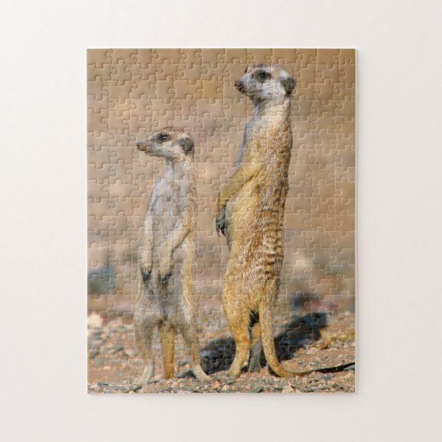 Meerkat (Suricata Suricatta) Sentinels, Karas Jigsaw Puzzle (Vertical)