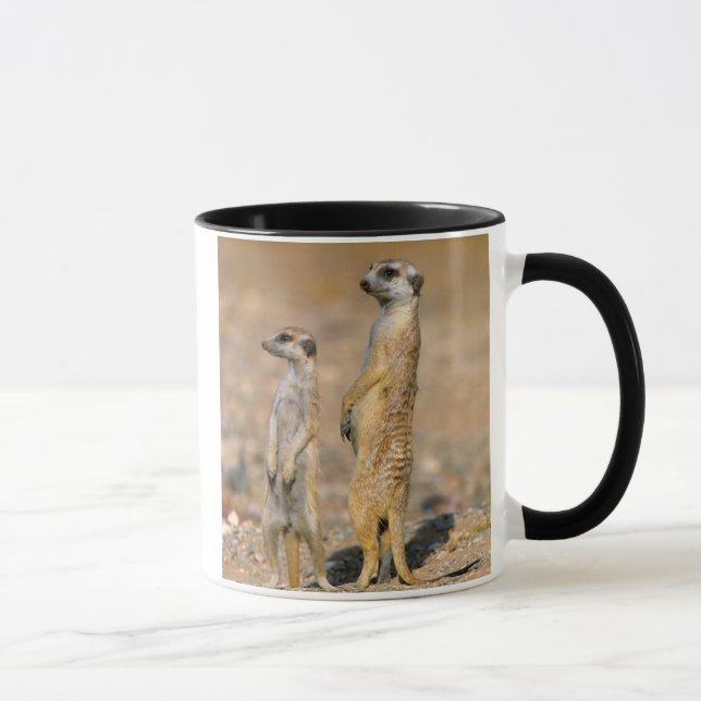 Meerkat (Suricata Suricatta) Sentinels, Karas Mug (Right)