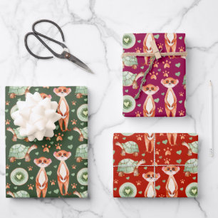Meerkat Tortoise Kiwi Papier d'enveloppement série