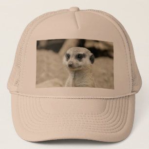 Meerkat Trucker Hat
