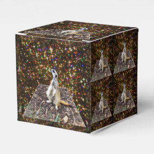 Meerkat Twinkle Stars, Favor Box