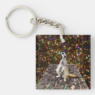 Meerkat Twinkle Stars, Keyring