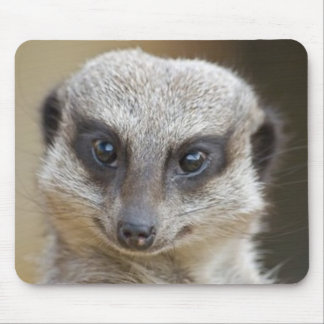 Meerkat Up Close Mouse Pad