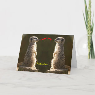 Meerkat Valentine Card 004