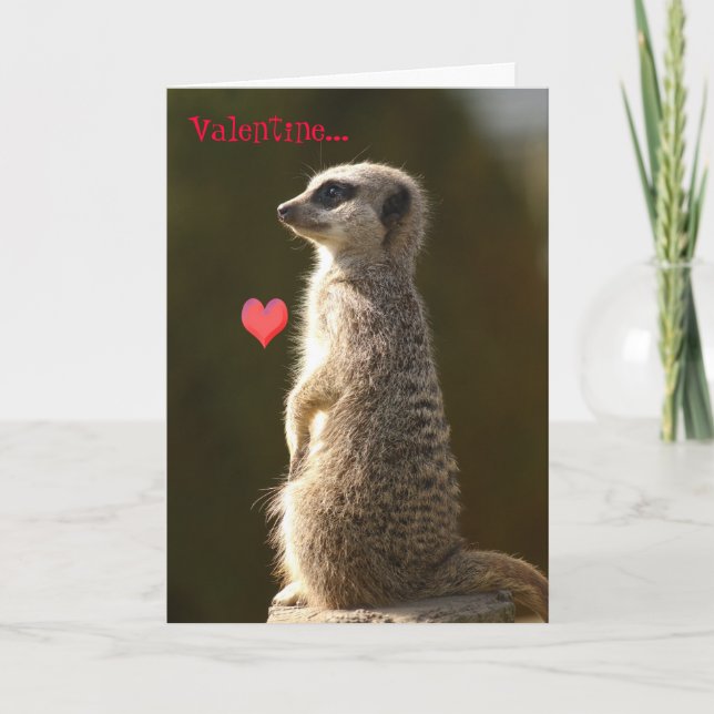 Meerkat Valentine Card 005 (Front)