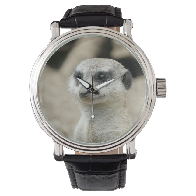 Meerkat Watch (Front)