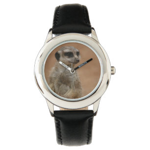 Meerkat watch