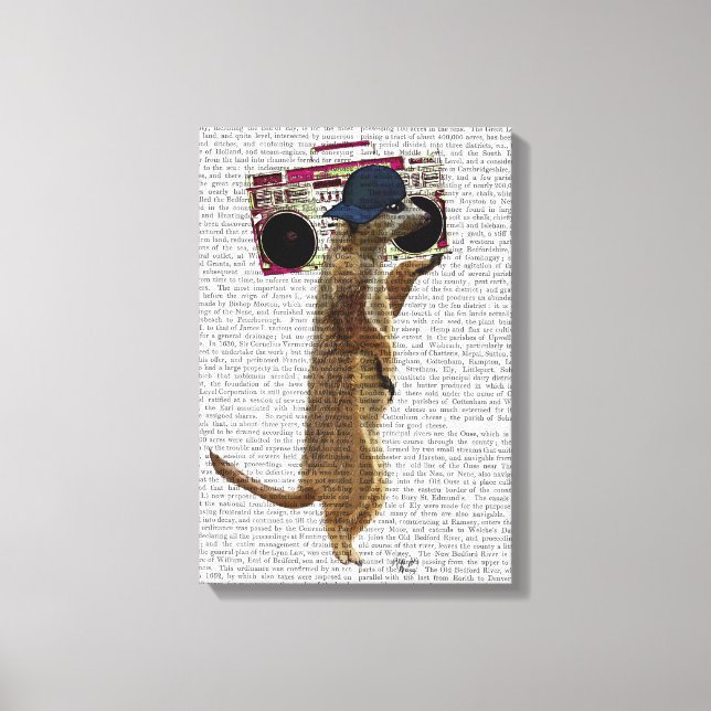Meerkat with Boom Box Ghetto Blaster Canvas Print (Front)