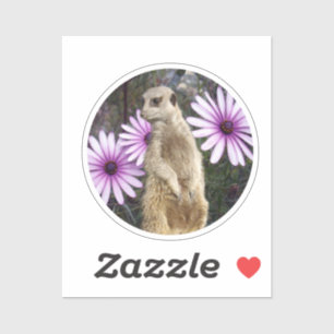 Meerkat With Daisies, Round Vinyl Sticker