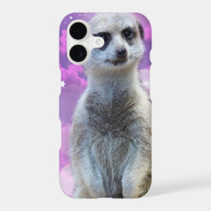 Meerkat With Sparkle,