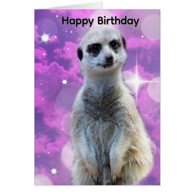 Meerkat With Sparkle, Birthday Card (Front)