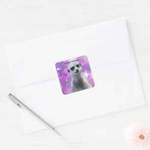 Meerkat With Sparkle, Birthday Stckers Square Sticker