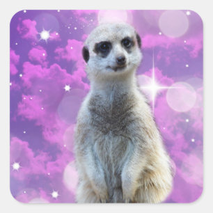 Meerkat With Sparkle, Square Sticker