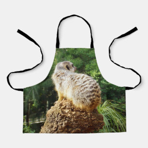 Meerkat With The Best Seat In The House, Apron