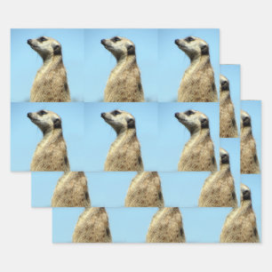 Meerkat Wrapping Paper Sheets