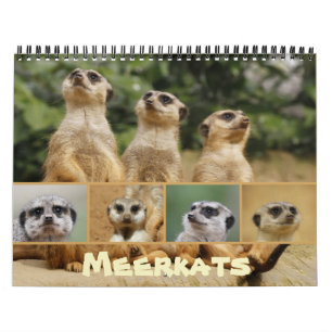 Meerkats 002 calendar