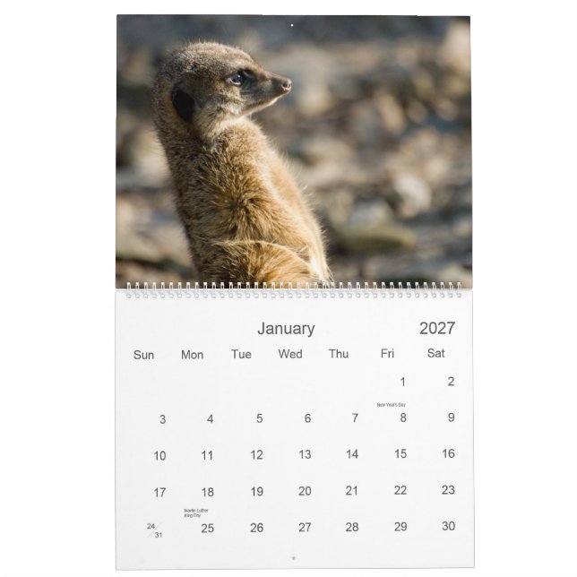 Meerkats 2010 Calendar (Jan 2027)