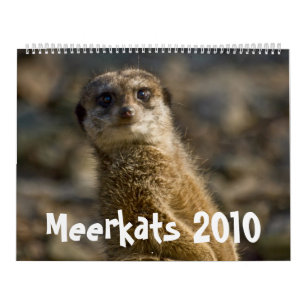 Meerkats 2010 Calendar