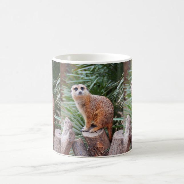 Meerkats animal coffee mug (Center)