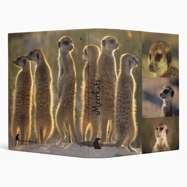 Meerkats Binder - Flower Yossarian Mozart (Background)