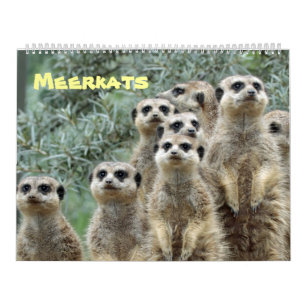 Meerkats Calendar