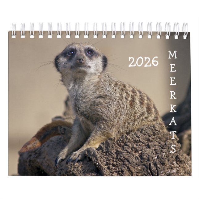 Meerkats Calendar (Cover)