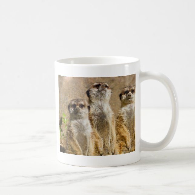 Meerkats Coffee Mug (Right)